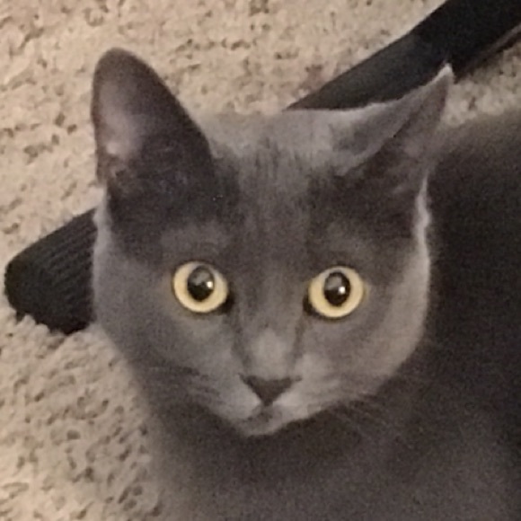 medracat